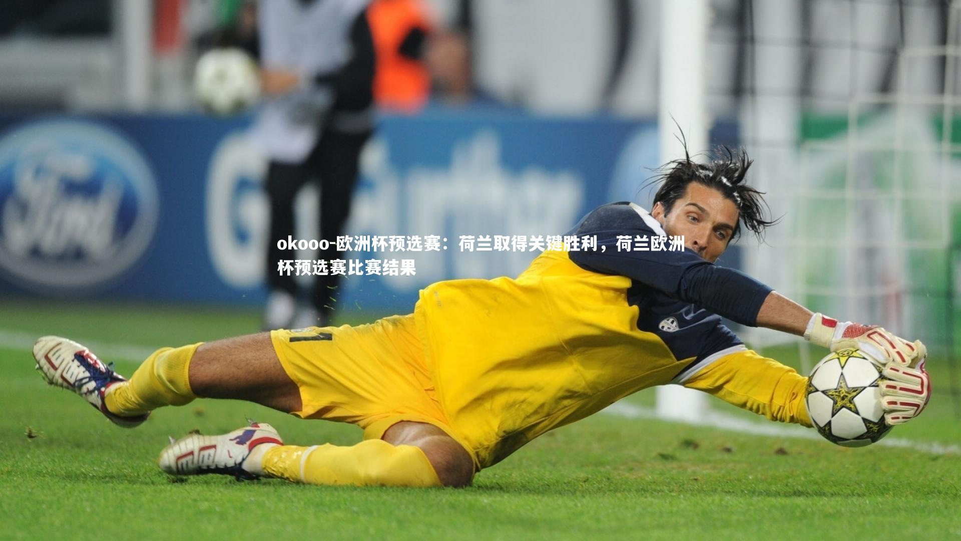 欧洲杯预选赛：荷兰取得关键胜利，荷兰欧洲杯预选赛比赛结果